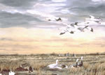 Bay City Snows - Geese Art Print by Les McDonald, Jr.